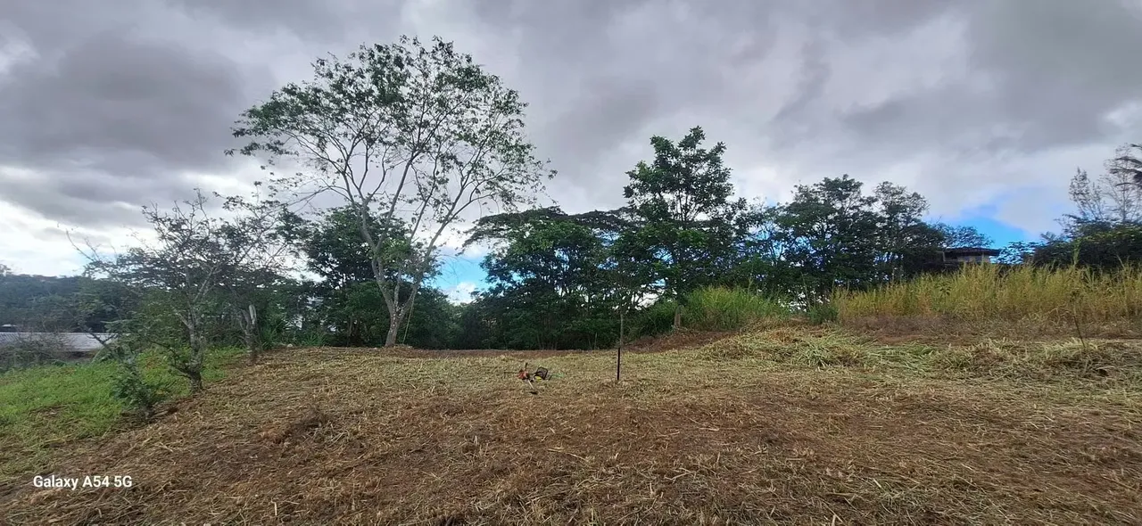 Venta de Lote en Curridabat id 37992