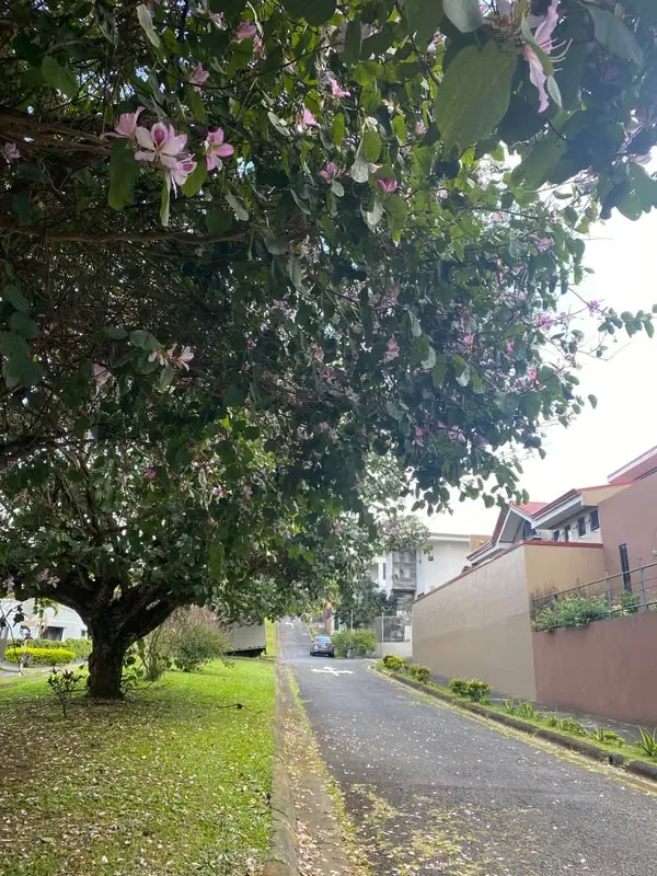 Building with 4 apartments for sale, Sabanilla, Montes de Oca, San Jose — photo 3