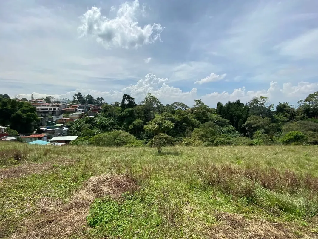 Price Reduced from 40 to20 per Square Meter! 4437