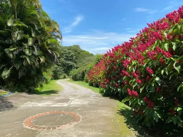 LIVE IN A NATURAL RESERVE AND... 4726