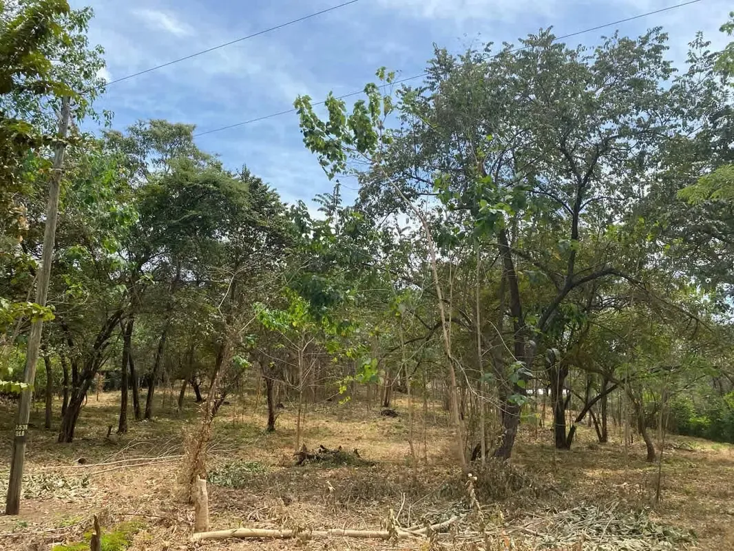 Land for sale by PLAYA GRANDE GUANACASTE