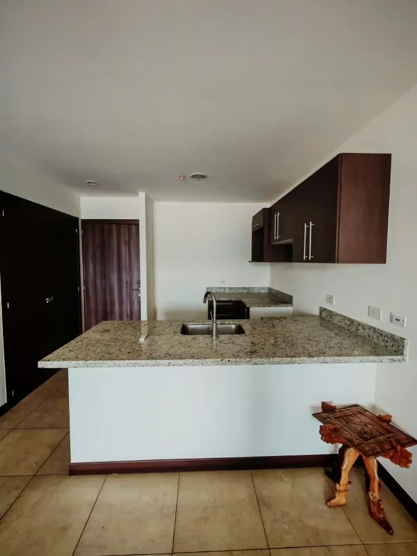 Se vende apartamento en Condominio Torres Paseo Colón, San José