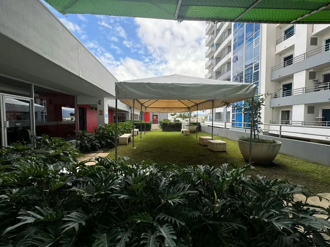 Spacious Office Spaces for Sale in Tower in Los Yoses, San Pedro — photo 5