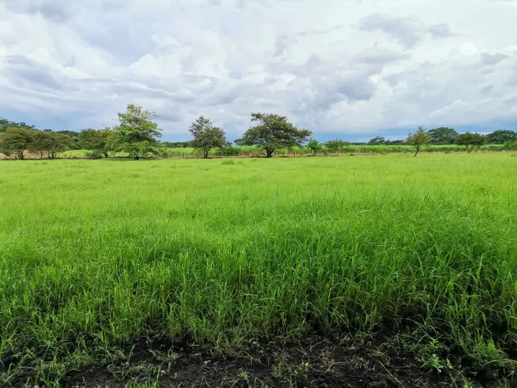 For sale farm Guanacaste Bagaces 22.5 acres $87.000.00