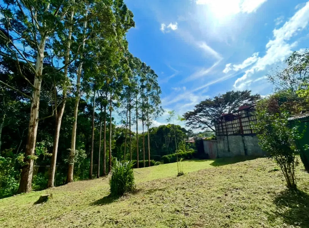 Este amplio lote de 1.417 m² se encuentra en una ubicación privilegiada en San Ramón, La Unión, rodeado de naturaleza, ofreciendo la combinación perfecta entre ... — photo 3