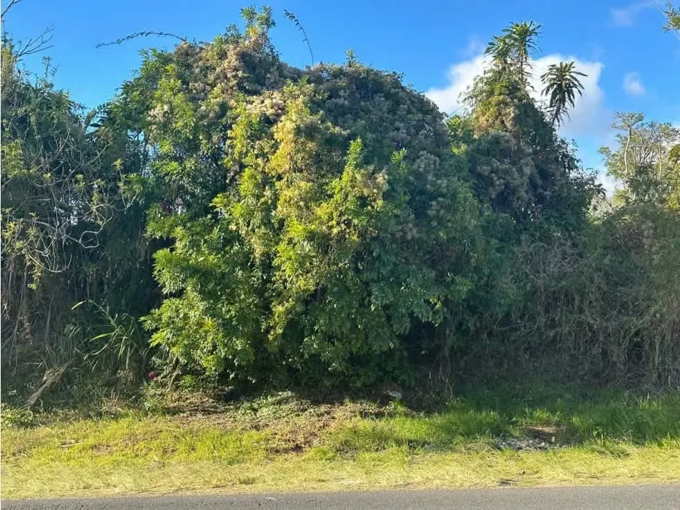 VENTA DE TERRENO, SANTO TOMAS, SANTO DOMINGO DE HEREDIA, 4.250 M2 — photo 3
