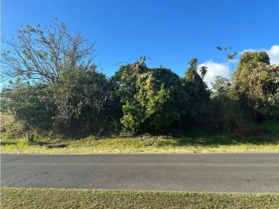 VENTA DE TERRENO, SANTO TOMAS, SANTO DOMINGO DE HEREDIA, 4.250 M2 — photo 4