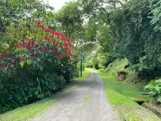 LIVE IN A NATURAL RESERVE AND PAY NO PROPERTY TAXES... 5694