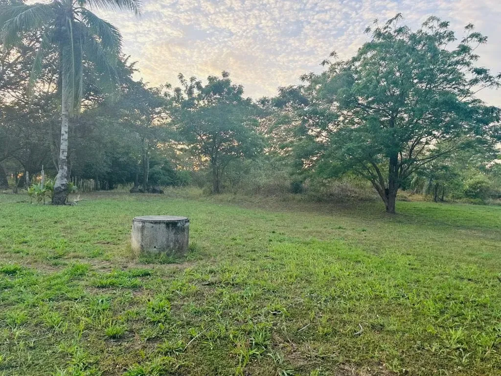 Descubre esta excelente oportunidad de inversión en La Garita Nueva, una ubicación estratégica en ... — photo 5