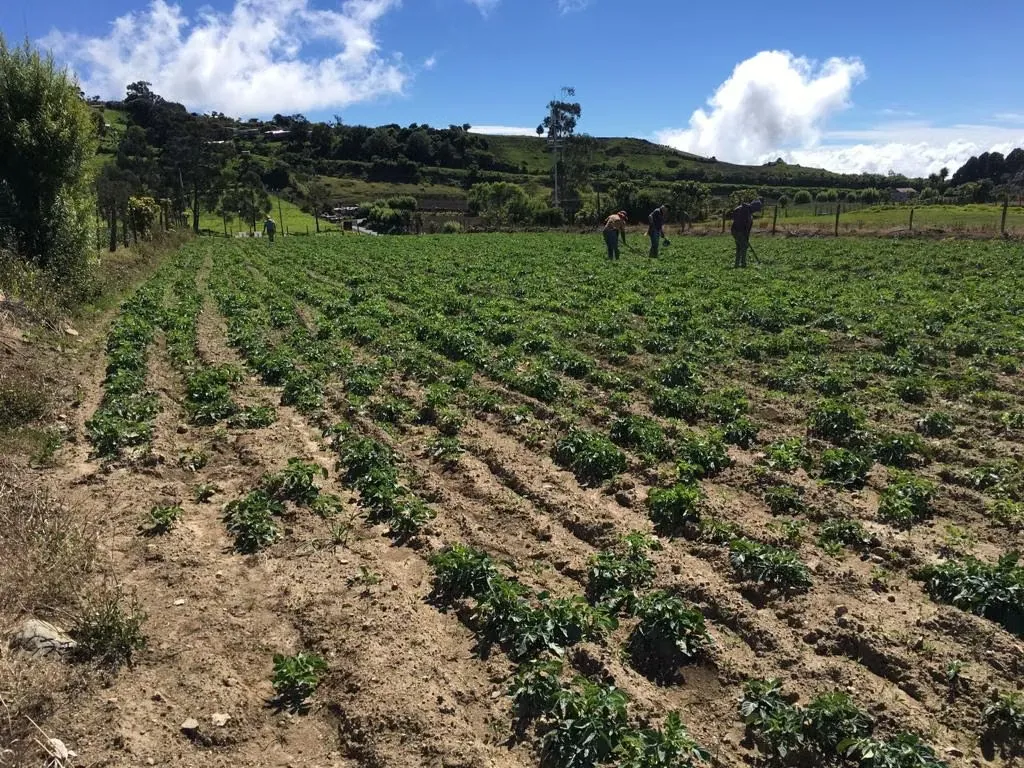 Land for sale, near the Sanatorio Durán ID 15029