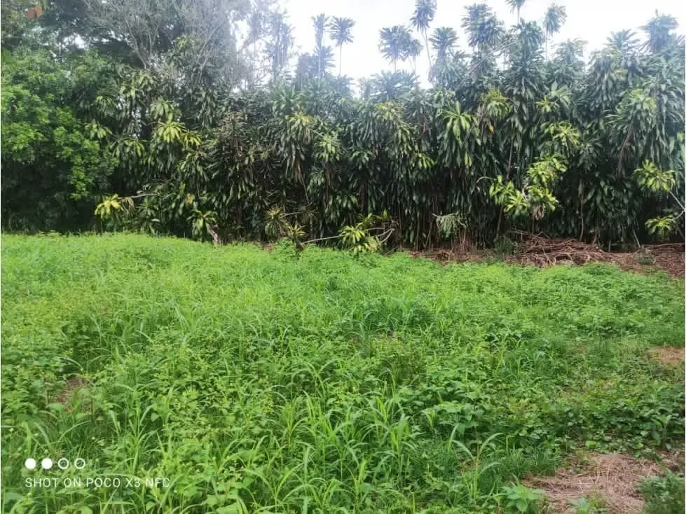 Venta de Terreno de 1337m² en Desamparados, Alajuela – Excelente Ubicación y Oportunidad de Inversión — photo 2
