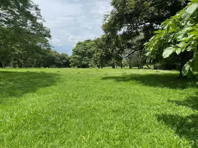 Land for sale in Lindora, Santa Ana