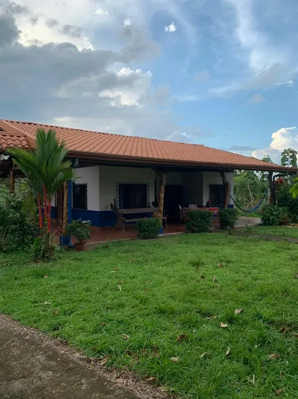 LAND FOR SALE, ALAJUELA, SAN CARLOS, POCOSOL