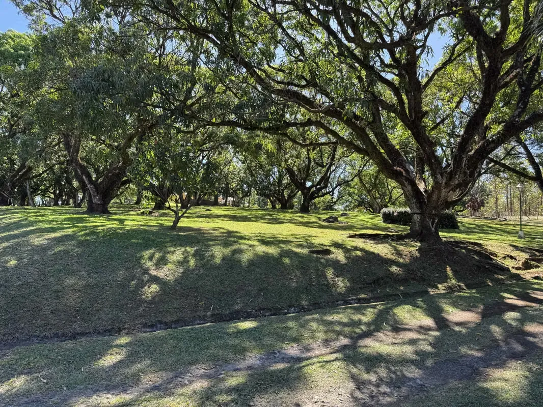 Farm for Sale in San Mateo de Orotina — photo 3