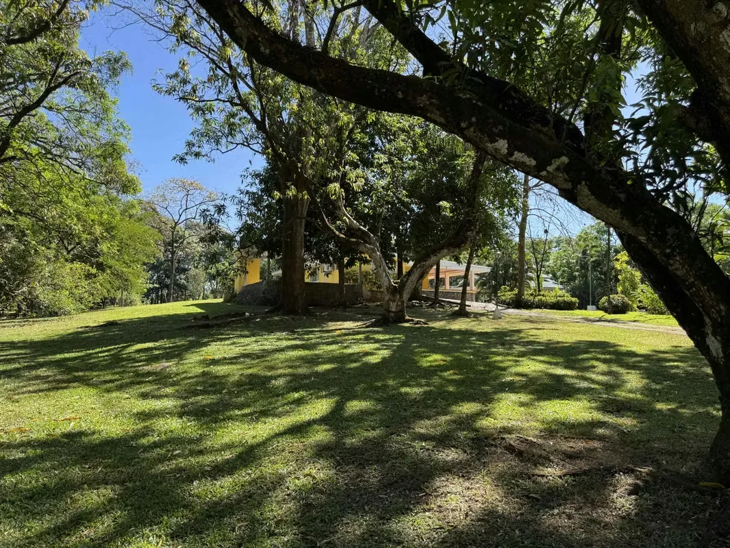Farm for Sale in San Mateo de Orotina — photo 4