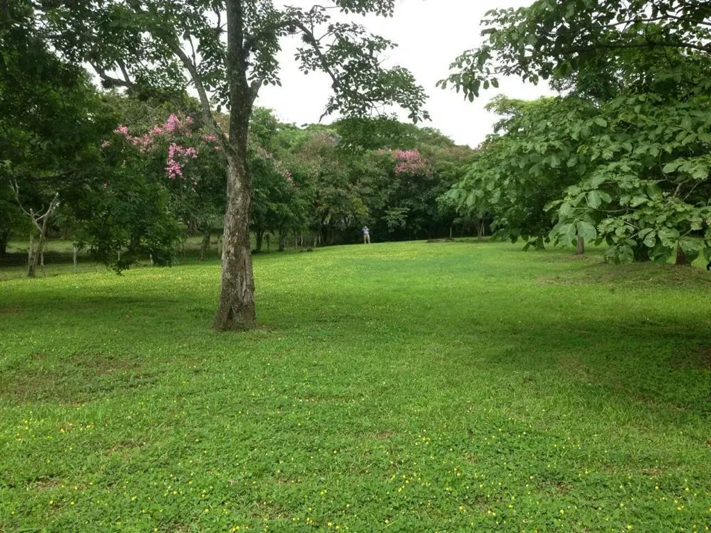 Land for sale in Coyol de Alajuela