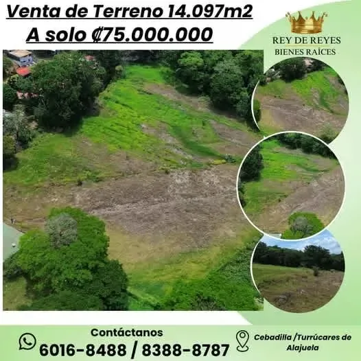 VENTA FINCA EN CEBADILLA, TURRÚCARES, ALAJUELA COSTA RICA, photo 5