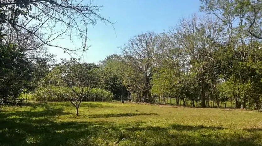¡Descubra una oportunidad excepcional en el corazón de la Península de Nicoya! Este amplio lote de 8,741m² está ubicado en Las Delicias de Cóbano, a tan solo 10 ...