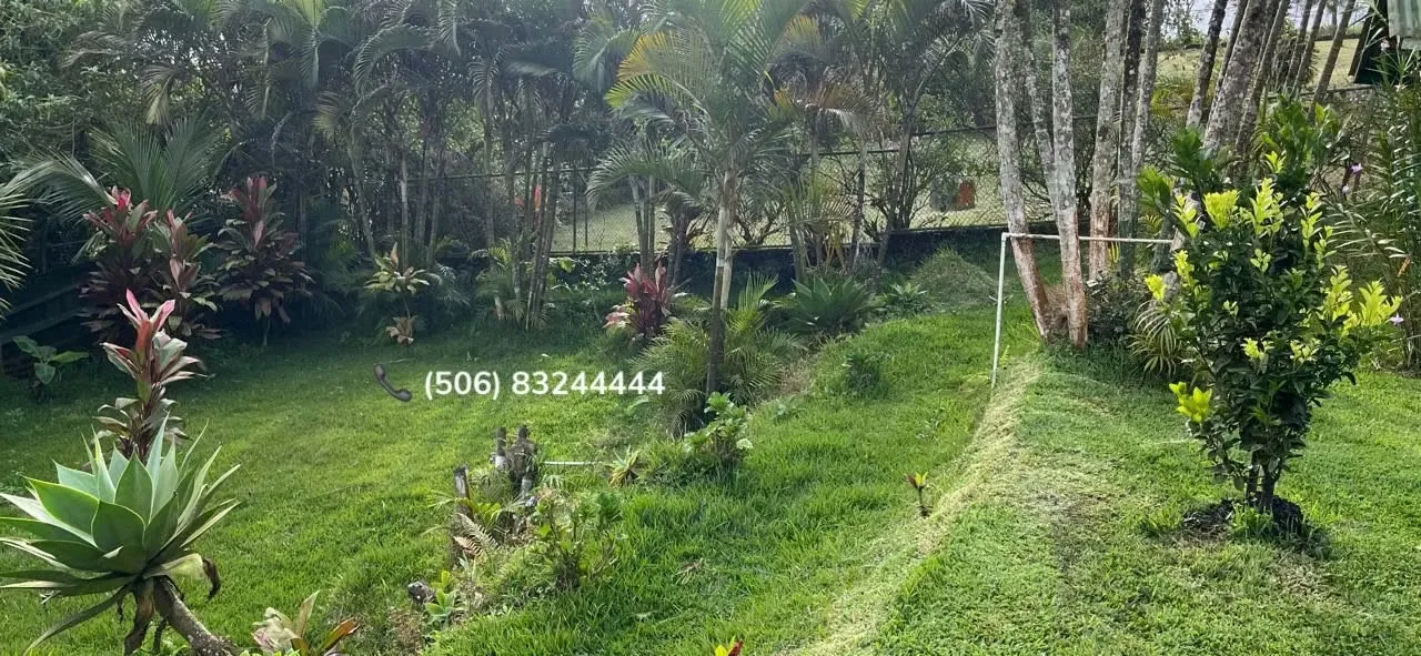 APARTMENTS FOR SALE IN SAN RAMON, ALAJUELA