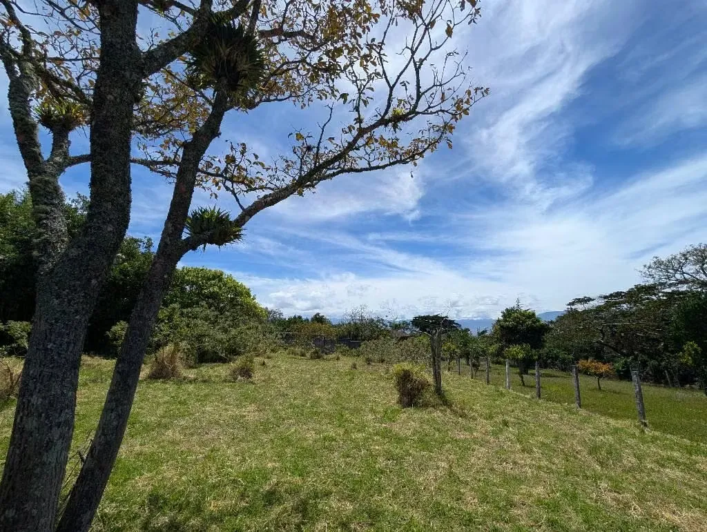 Si desea un lugar lejos de la ciudad, con hermosas vistas, árboles , naturaleza, vista de hermosa, aves, este es el ...