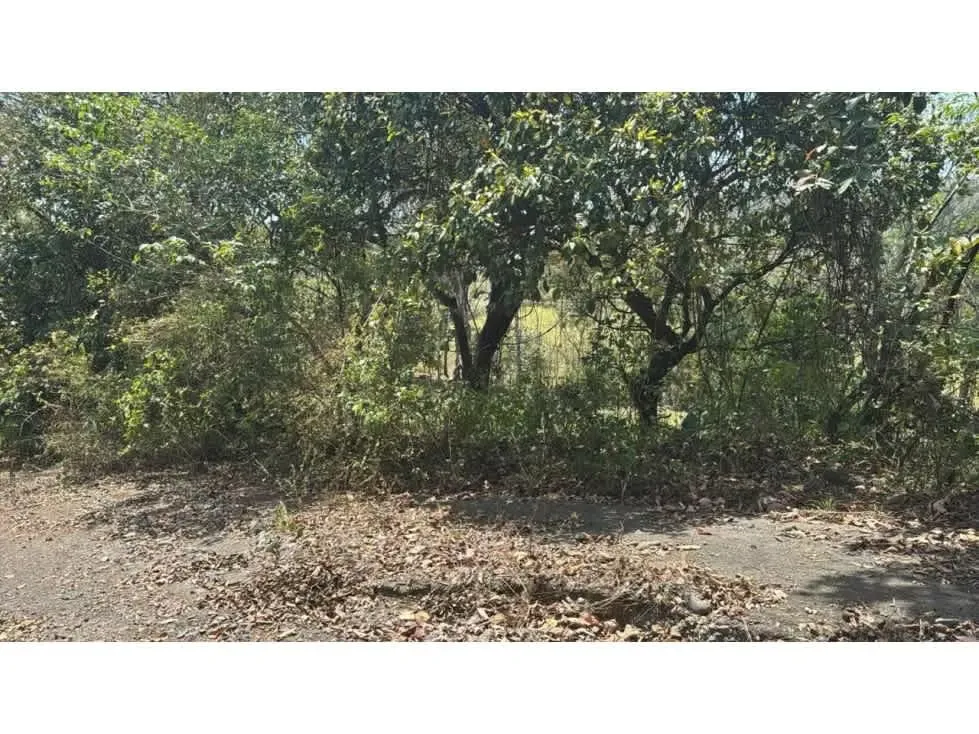 Venta de terreno muy amplio en Hacienda Vieja de Orotina. Este terreno es ... — photo 3