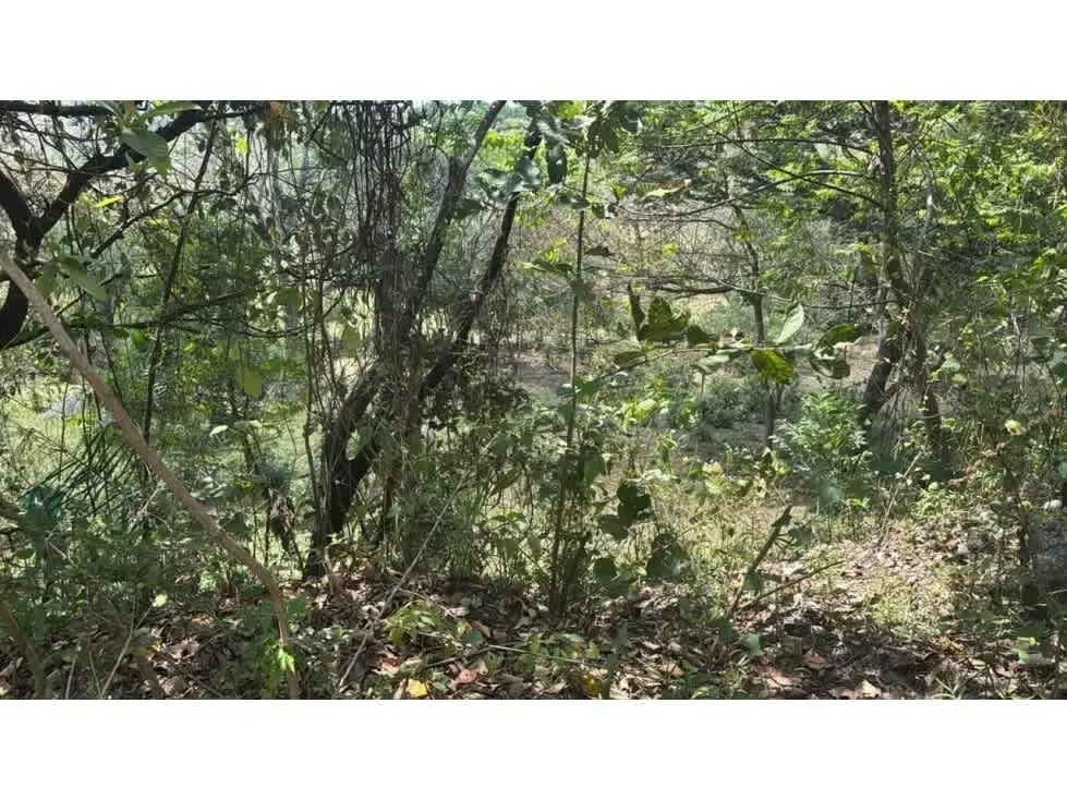 Venta de terreno muy amplio en Hacienda Vieja de Orotina. Este terreno es ... — photo 4