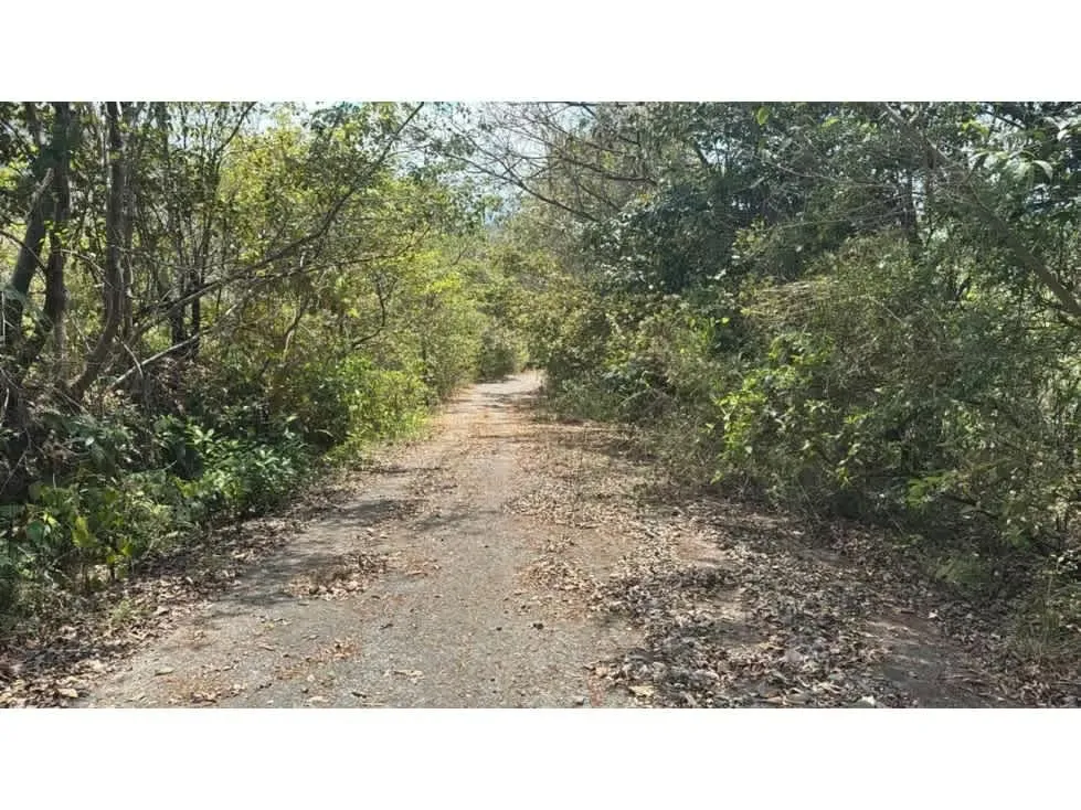 Venta de terreno muy amplio en Hacienda Vieja de Orotina. Este terreno es ... — photo 5