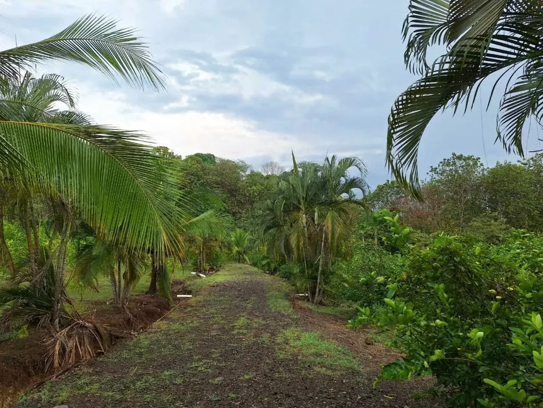 Farm for Sale in Tárcoles, Pungtarenas — photo 2