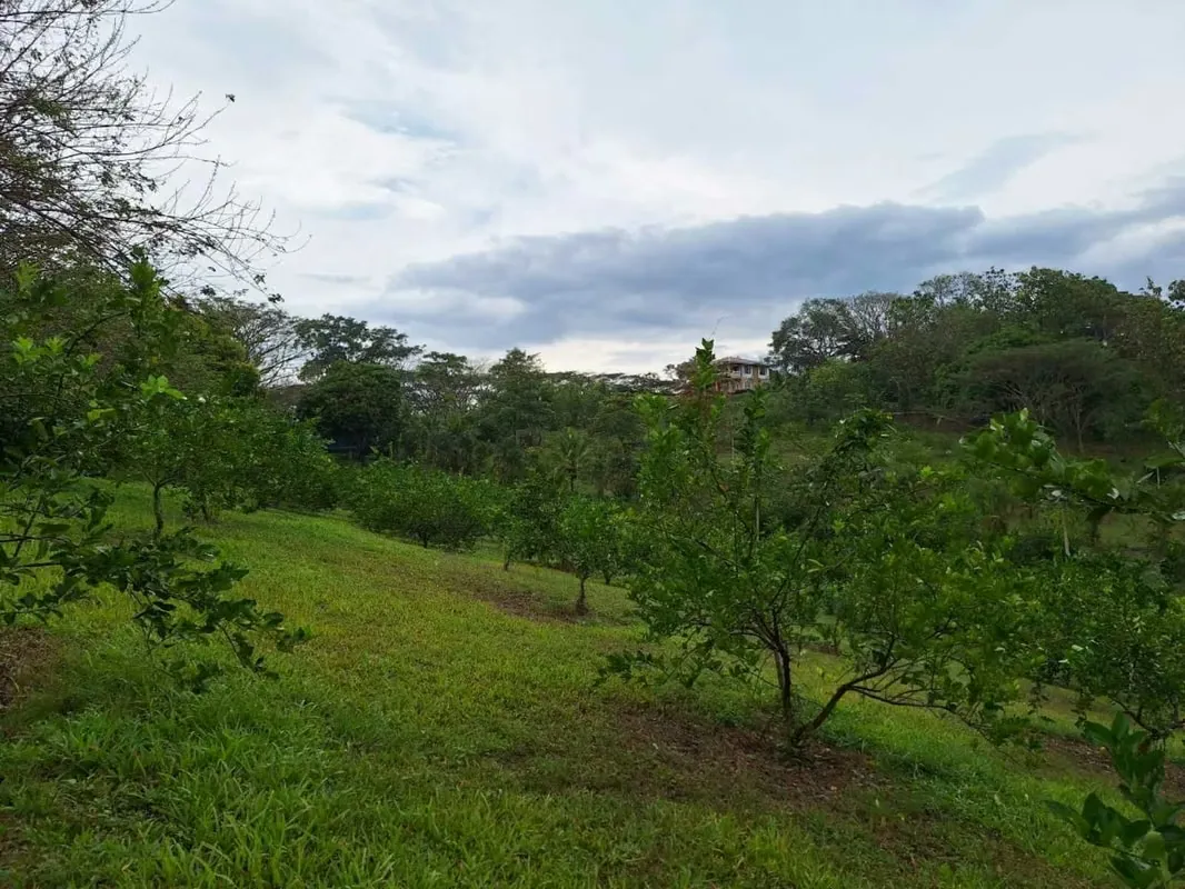 Farm for Sale in Tárcoles, Pungtarenas — photo 4