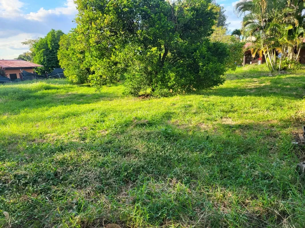 For sale, house for Airbnb accommodation or Senior Residence, in San Joaquín de Flores, Heredia — photo 4
