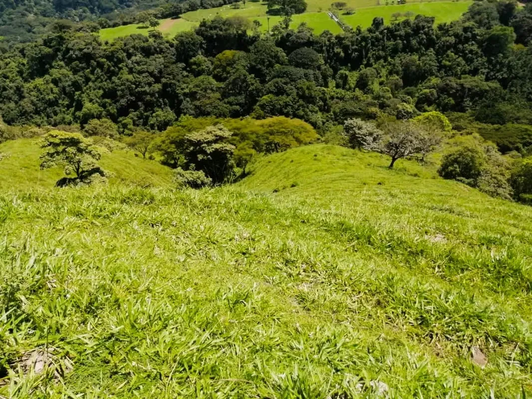 "Imagine un refugio donde la majestuosidad de la naturaleza se encuentra con el potencial de un desarrollo inmobiliario de lujo.