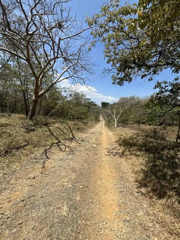 Located in La Garita, Alajuela, this expansive 35,401 m² (3.5-hectare) property offers multiple opportunities for both residential and commercial ...