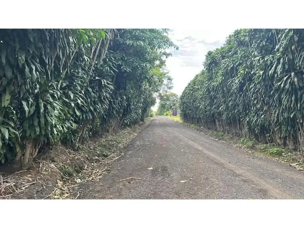 VENTA DE TERRENO, SAN PABLO, HEREDIA, LAS CRUCITAS 5164958 (HC) — photo 2