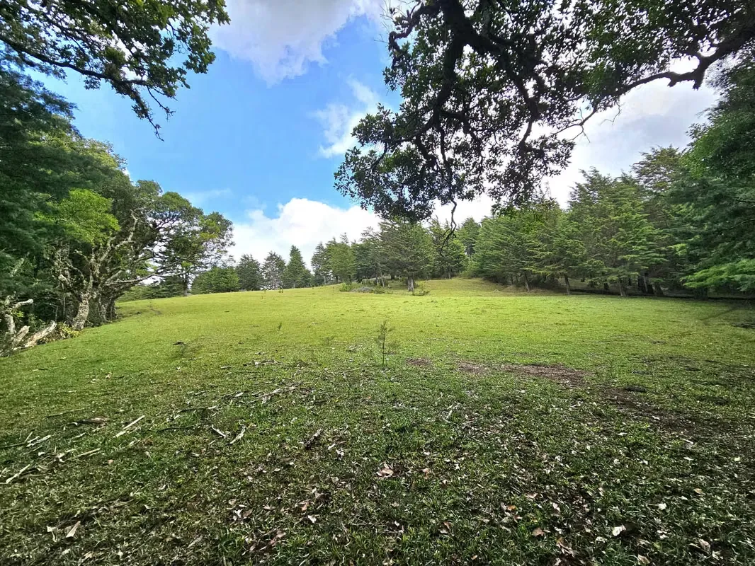 MA Asesorías Vende Espectacular Propiedad en San Rafael, Heredia.