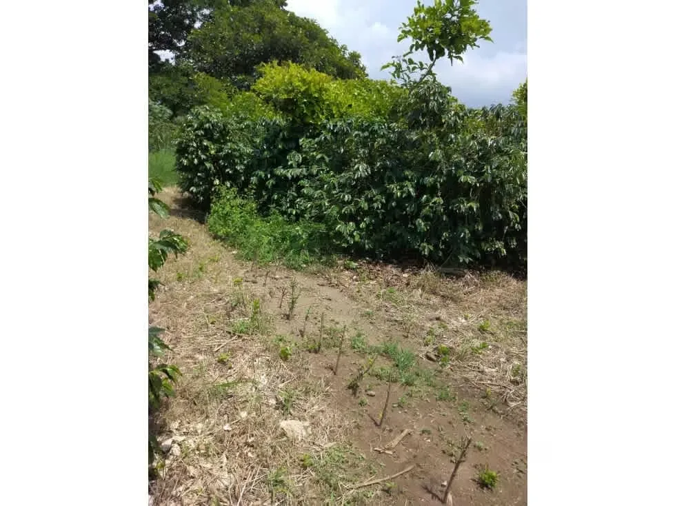 Venta de Terreno para Desarrollos Industriales, Santa Rosa de Santo Domingo de Heredia — photo 2