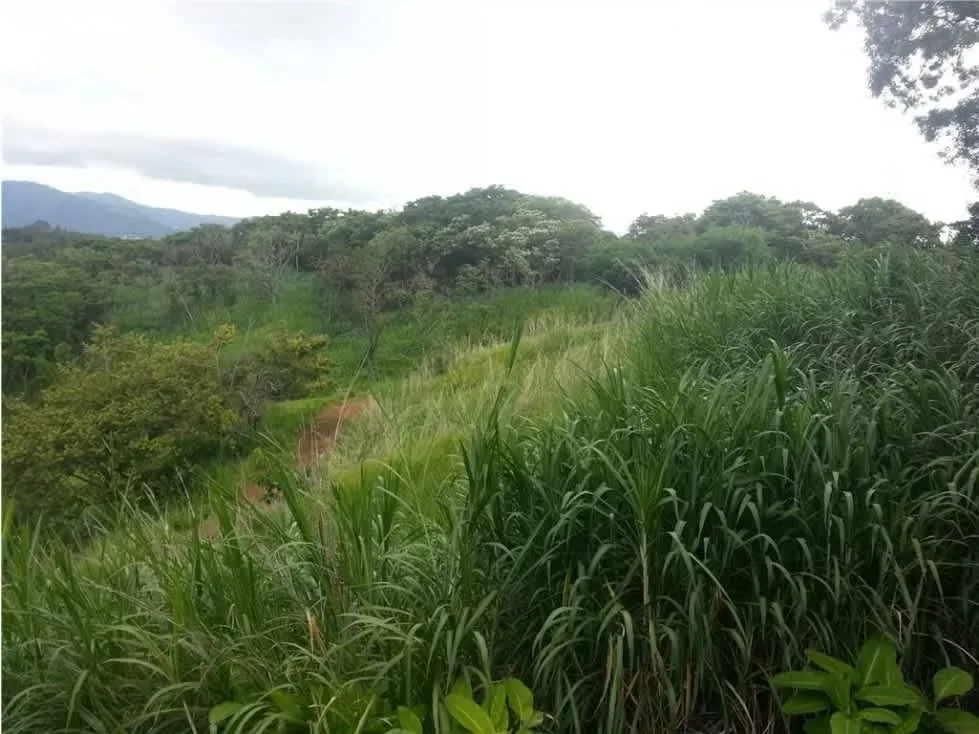 Venta de Terreno para Desarrollos Industriales, Santa Rosa de Santo Domingo de Heredia — photo 3