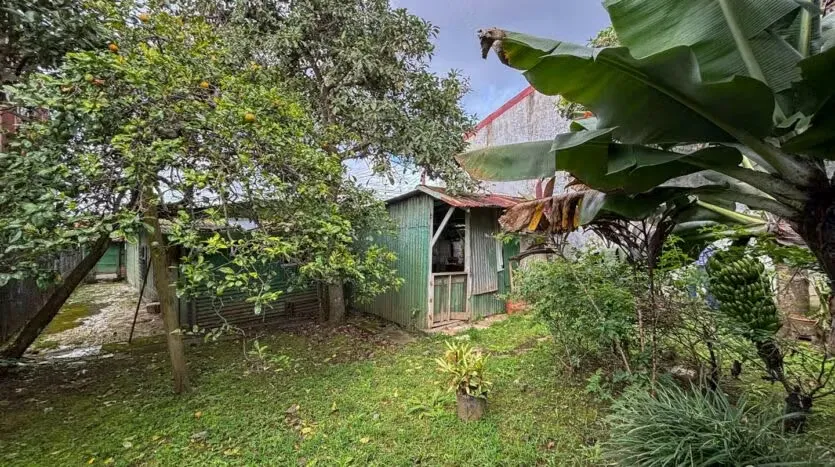 Venta de lote, uso comercial - Montes de Oca
