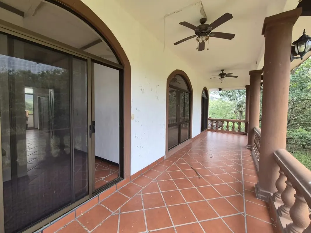 Prime Teak Farm for Sale – 75 Hectares in La Cruz — photo 3