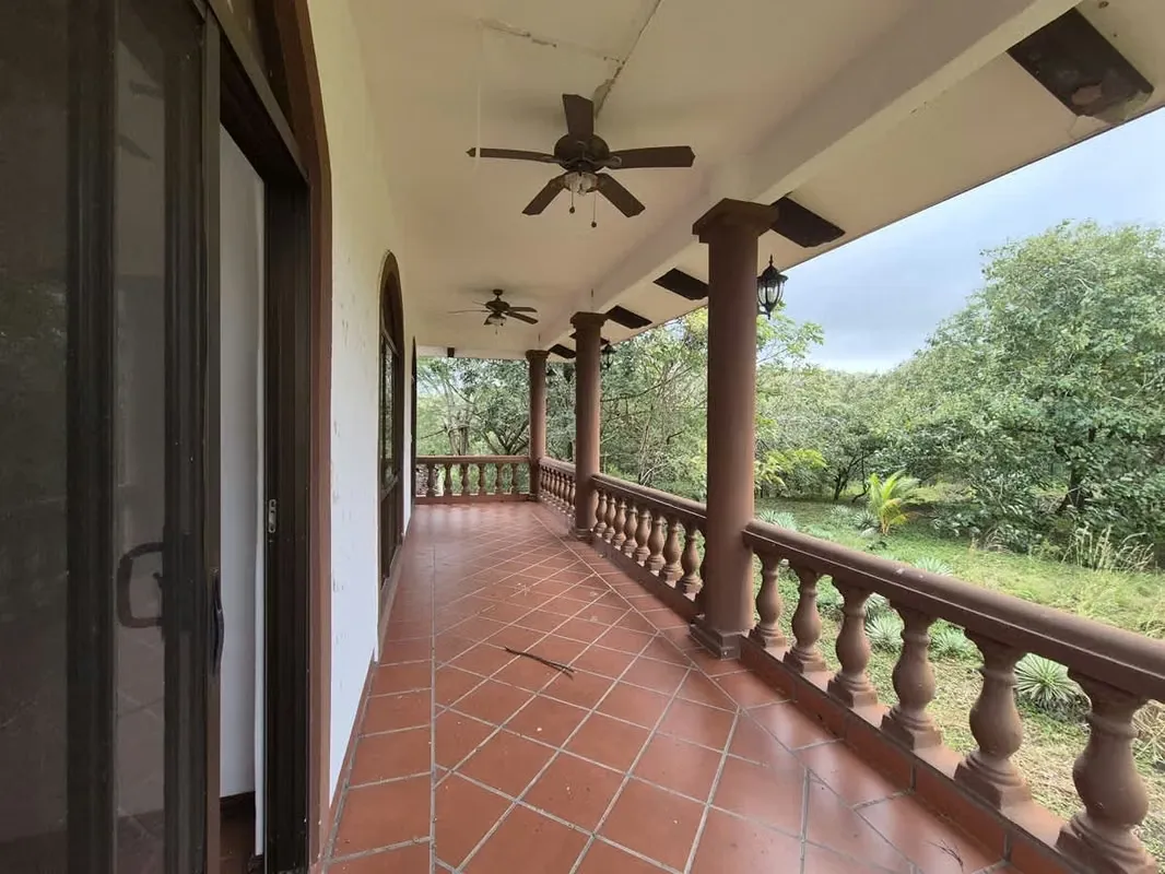 Prime Teak Farm for Sale – 75 Hectares in La Cruz — photo 4