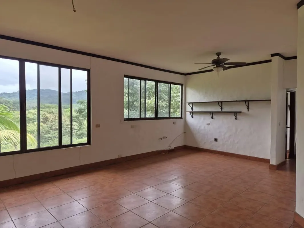 Prime Teak Farm for Sale – 75 Hectares in La Cruz — photo 5