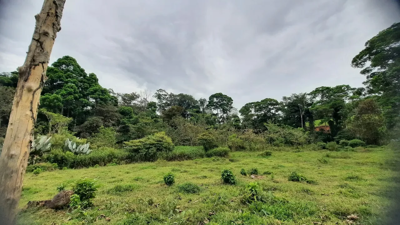 Ubicada a tan solo 15 minutos del centro de Guatuso, esta hermosa finca combina una ubicación estratégica con condiciones excepcionales para cultivo, reforestación o desarrollo de ...