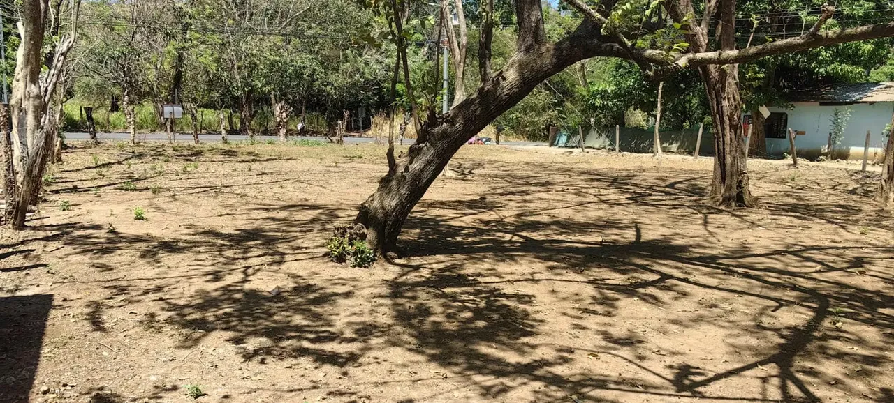 Venta de Lote en Artola cerca de Playas en Carrillo