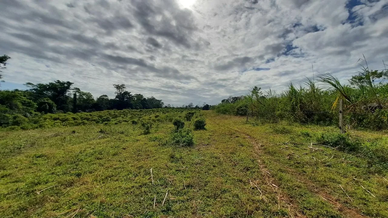 Esta finca en zona rural te ofrece todo lo que necesitas para un proyecto agrícola o ganadero