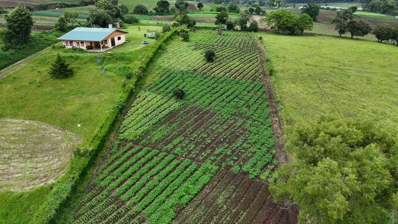 Venta de lote Paso Ancho de Cartago