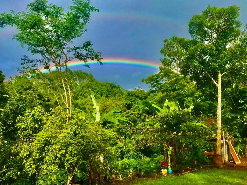 Beautiful villa for sale with a view in Mercedes Norte, Puriscal. — photo 5