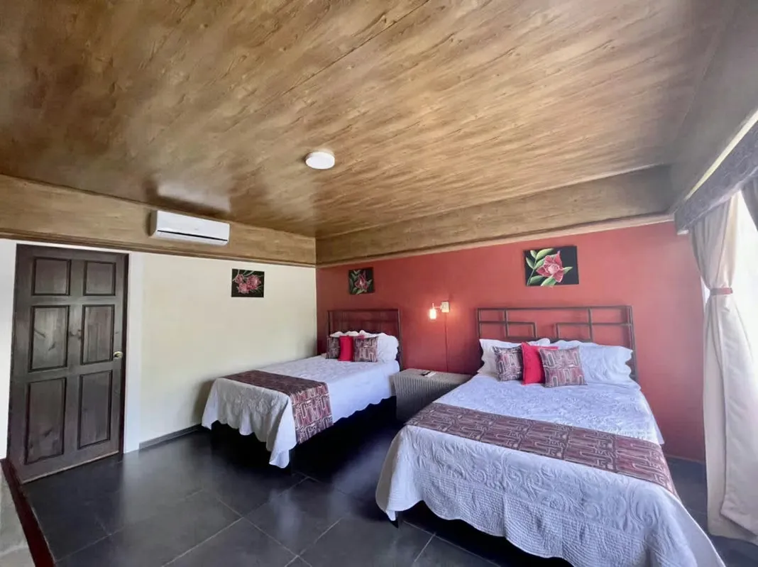 For sale hotel in La Fortuna de San Carlos with a wonderful Arenal Volcano view, lots of nature, bird watching. — photo 5