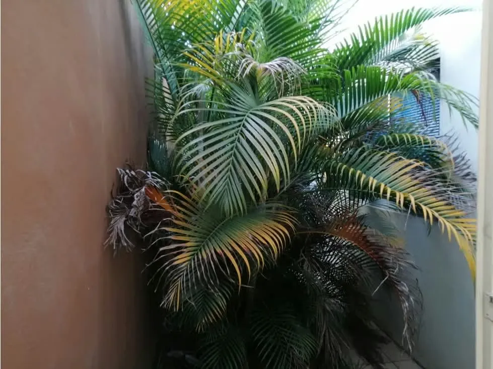 Edificio en Venta en La Uruca,Alquilado- 5PJG8996148 — photo 2
