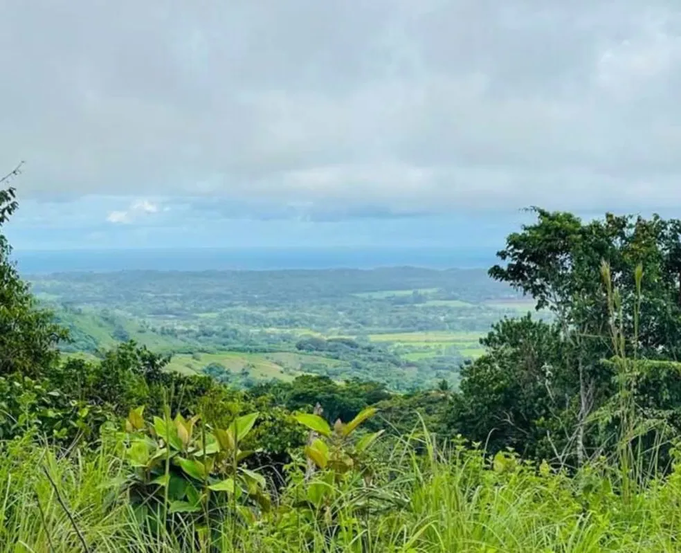 Venta de Lote – Hermoso Terreno con Vista al Océano