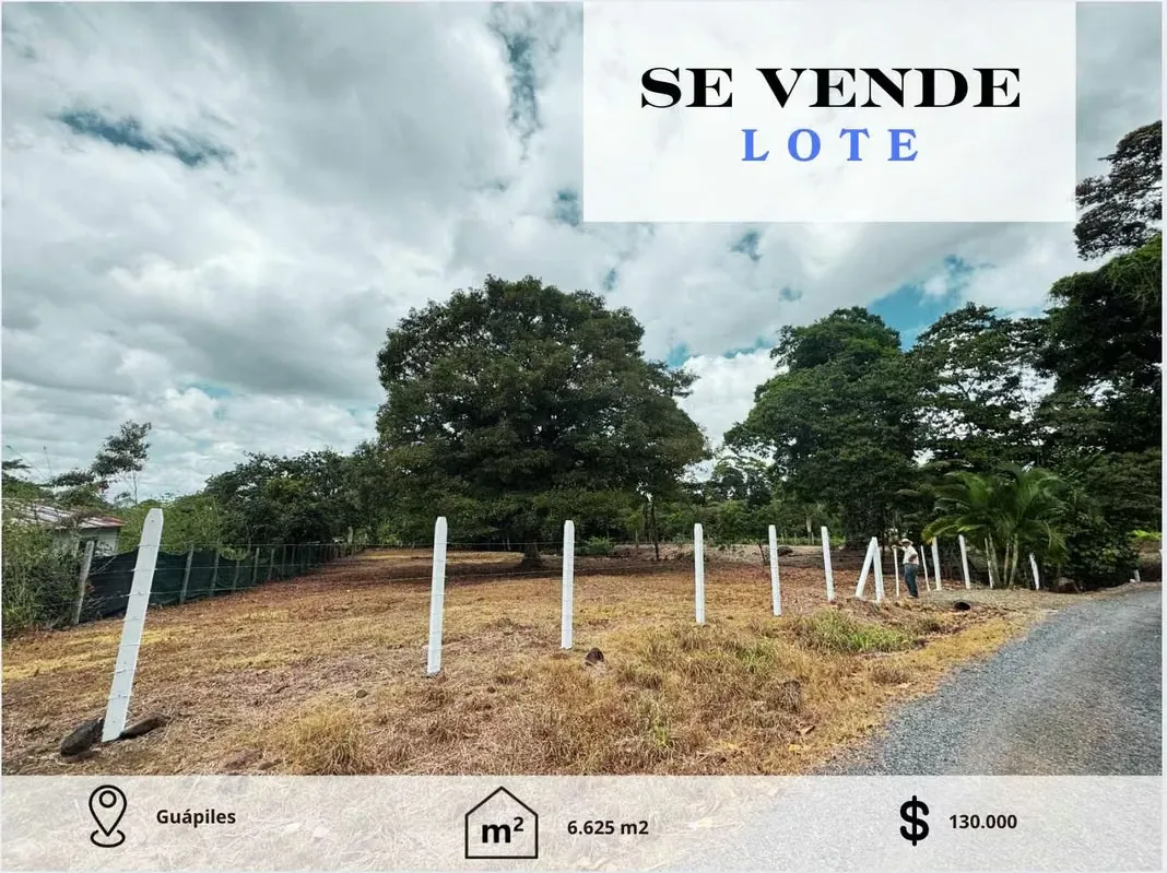 Land for Sale in Guápiles