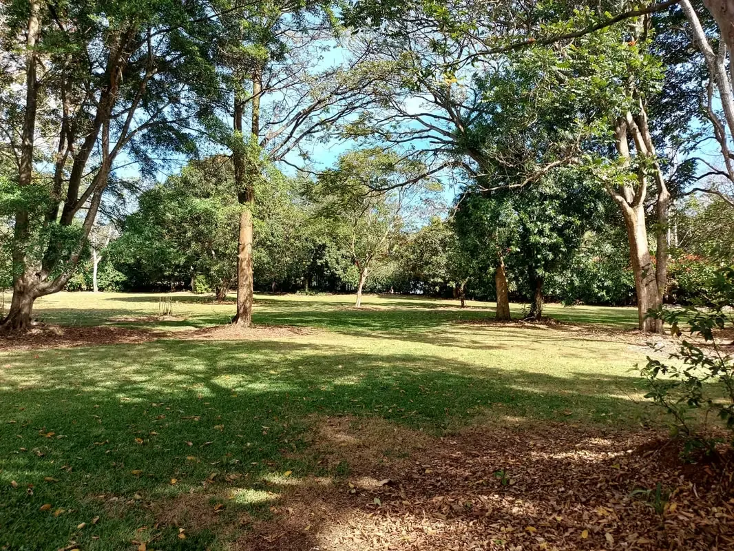 Lote en venta en Naranjo, plano 5000 m² en comunidad cerrada